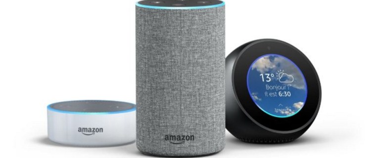 Amazon Echo는 여러 사용자와 함께 작동합니까?