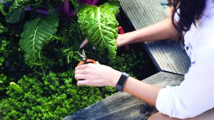 fitbit_charge_3_lifestyle_gardening_1790