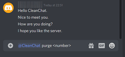 Purge CleanChat