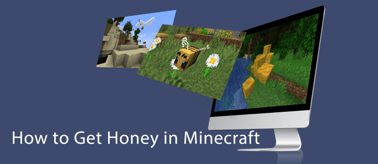 Wie bekomme ich Honig in Minecraft?
