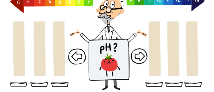 Jocuri Google Doodle: Testați-vă cunoștințele privind scara pH-ului cu acest Doodle interactiv despre S.P.L Sørensen